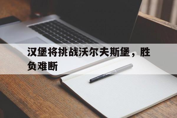 汉堡将挑战沃尔夫斯堡，胜负难断